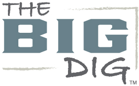 The Big Dig Professional