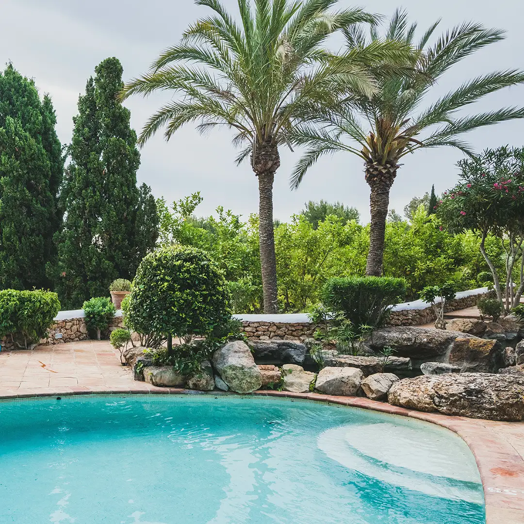 landscape and pool